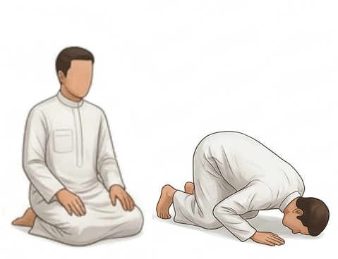 Salah Steps: step 12, Muslim man goes back into sujood from a seated position