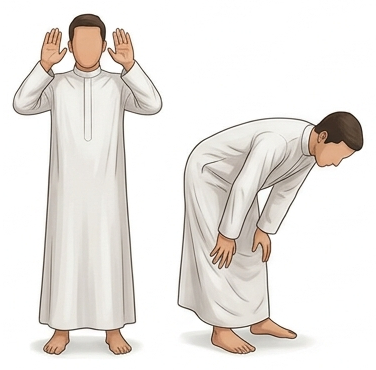 Salah Steps: step 7, Muslim man raises his hands to his ears for takbir and then goes in ruku, bending down and placing his hands on his knees.